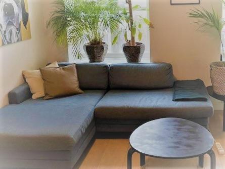 Stroken Loftleilighet Midt I Oslo. ภายนอก รูปภาพ